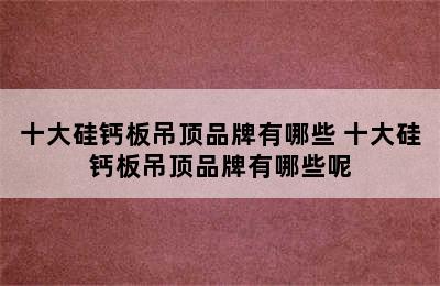 十大硅钙板吊顶品牌有哪些 十大硅钙板吊顶品牌有哪些呢